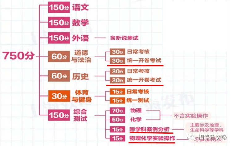 新澳门一码一码100准,详细解答解释落实|全面详细