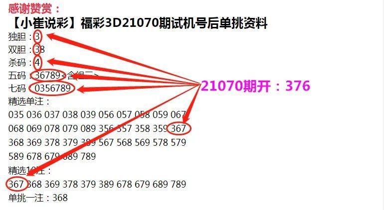 四肖必中期期准长期免费公开准确吗,精准解答解释落实|全法精准