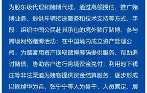 澳门与香港今晚一肖必中特,精选解释解析落实|最佳精选