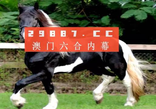 澳门和香港精准一肖一码一一中,全面释义解释落实|周全释义