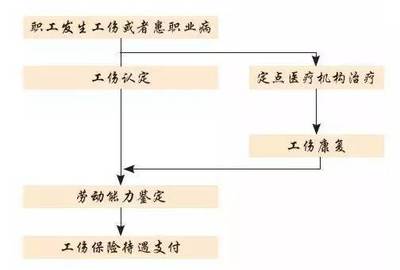 广东省劳动鉴定中心广东省劳动鉴定中心，职责、功能与重要性