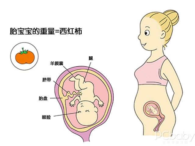 四个月宝宝长马牙图片四个月宝宝长马牙图片，了解马牙及其成长过程