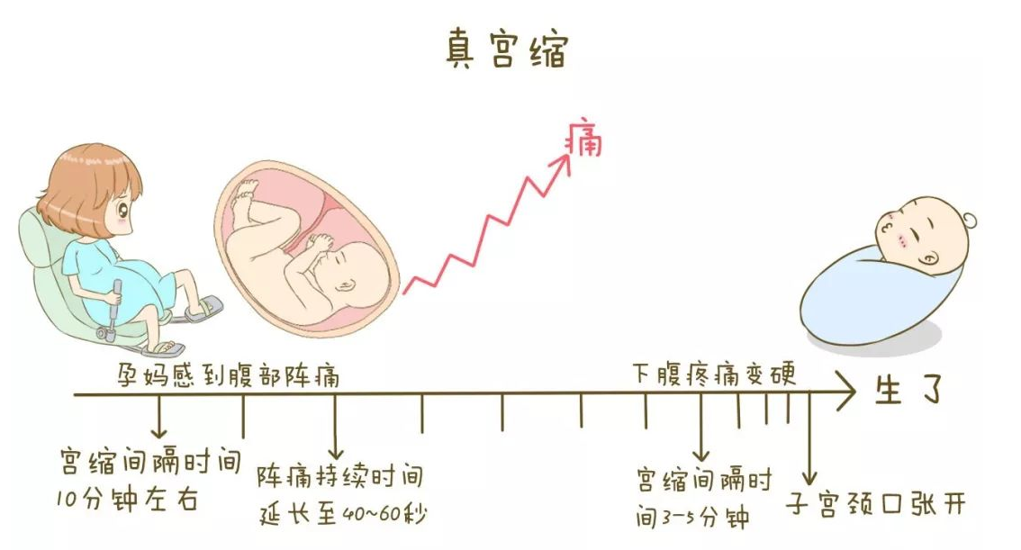 33周是多少个月揭秘时间转换之谜，33周究竟是多少个月？