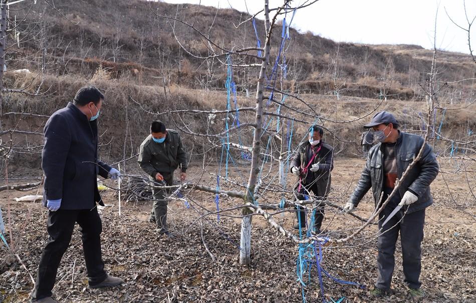 广东省防疫手套要求最新广东省防疫手套要求最新解读