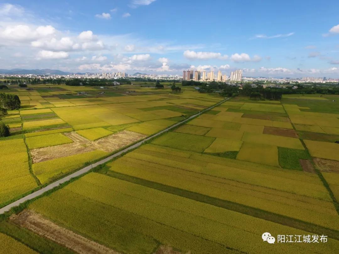 广东惠民电子有限公司广东惠民电子有限公司，引领科技创新，铸就惠民新篇章