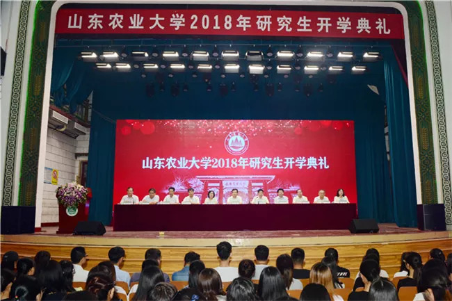 广东省韶关凌云学校广东省韶关凌云学校，历史积淀与现代教育融合发展的典范