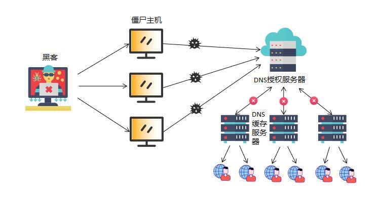 广东省的dns广东省DNS系统，解析网络的关键枢纽