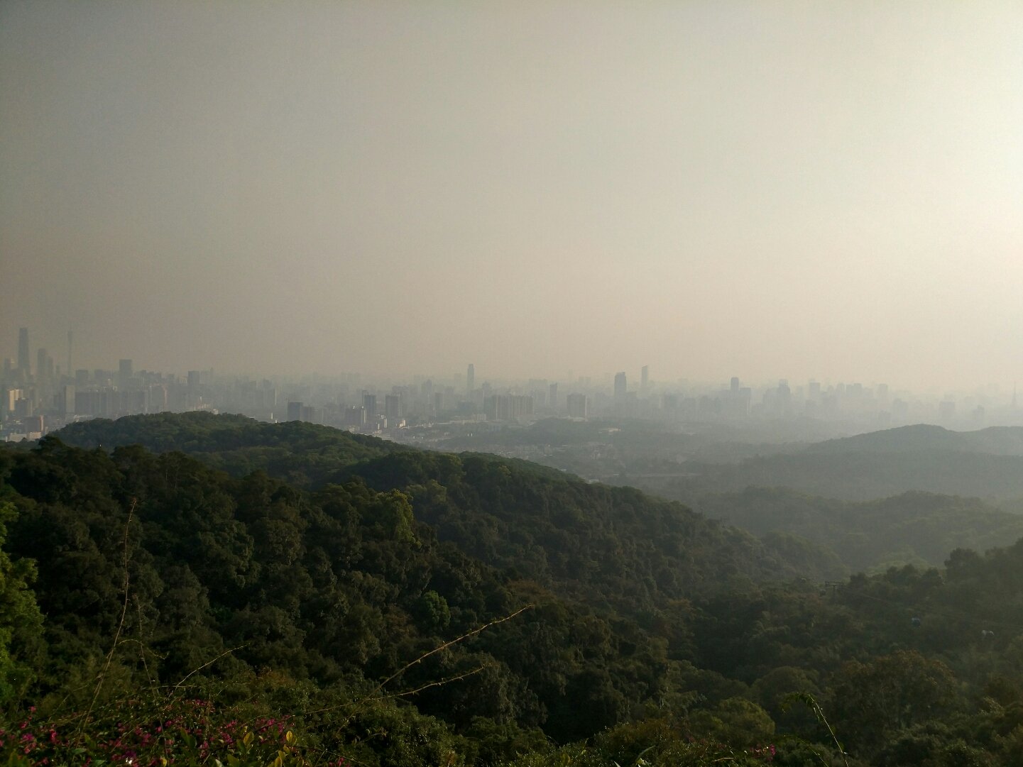 广东省广州市白云区天气广东省广州市白云区天气概况